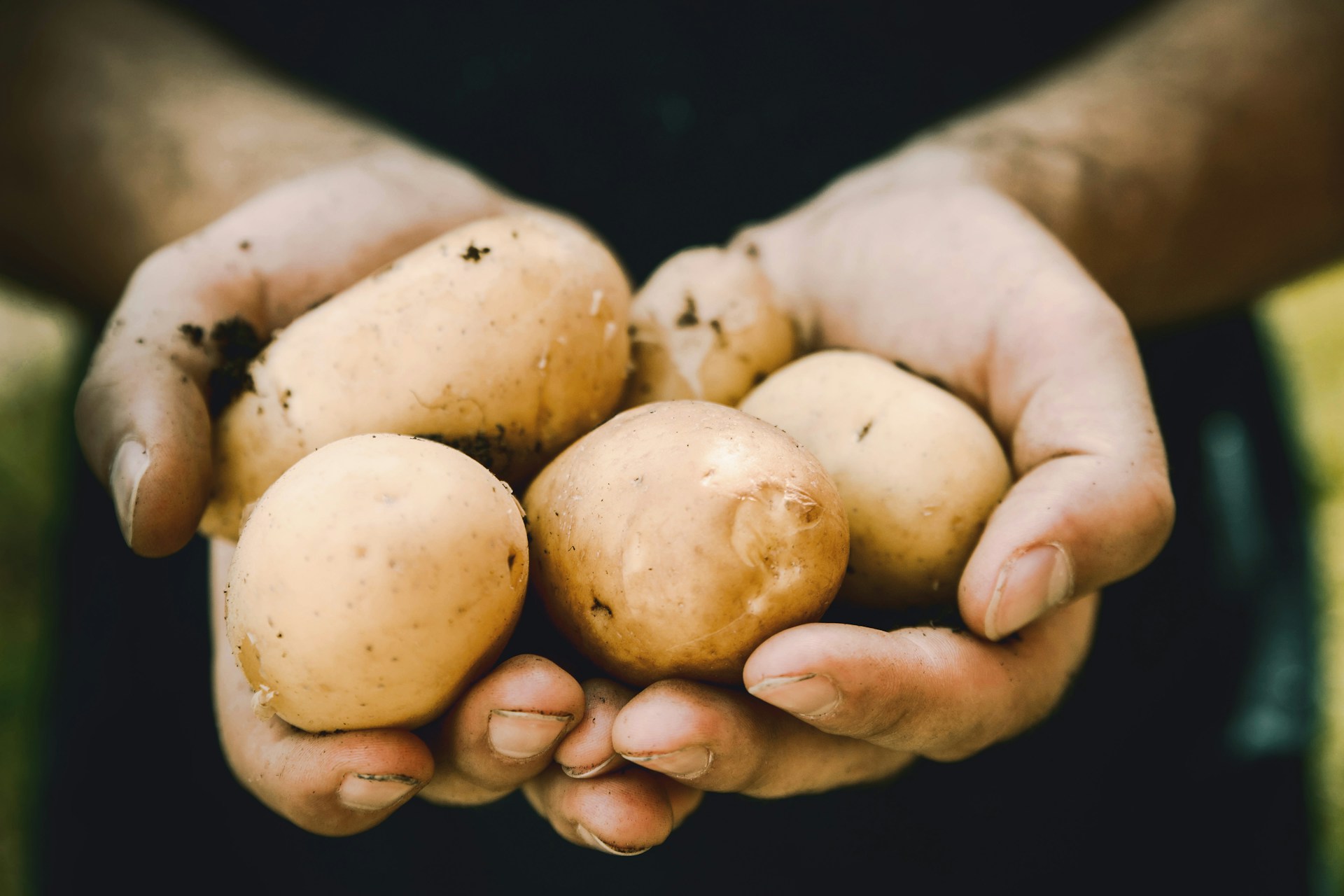 Potato Kick-off