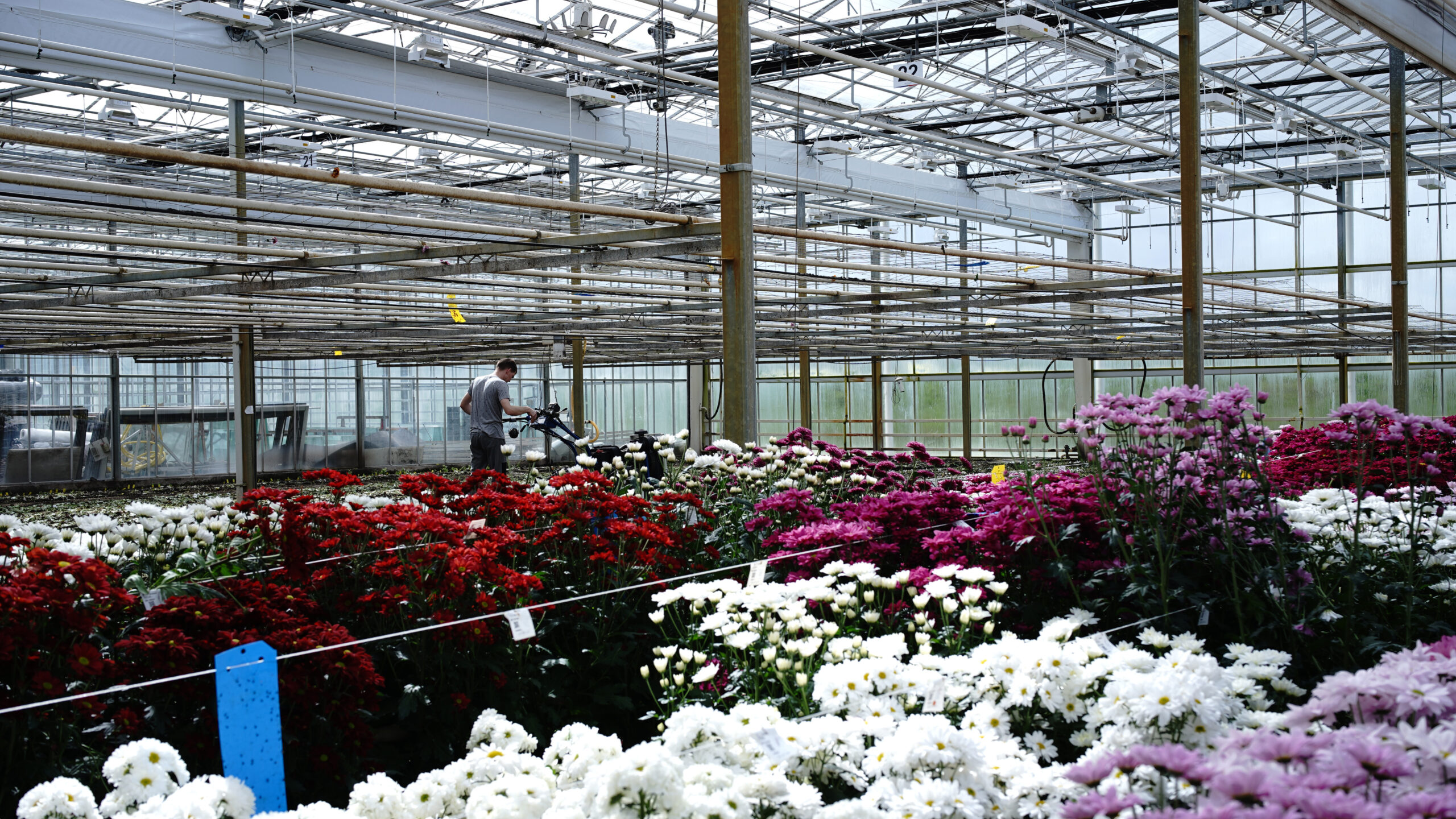 Crop Resilience Cropxr