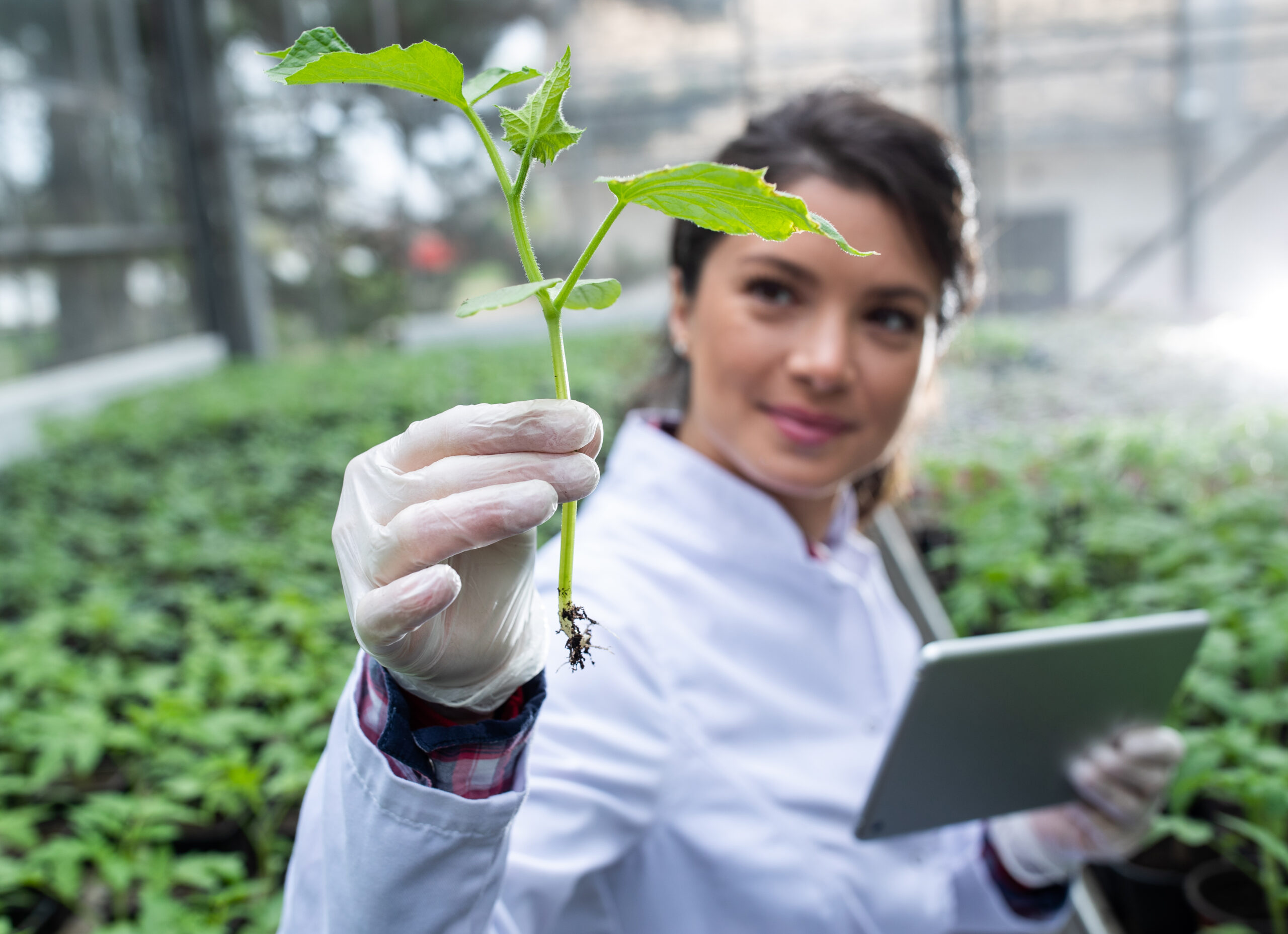 Minor Climate-Resilient Crops