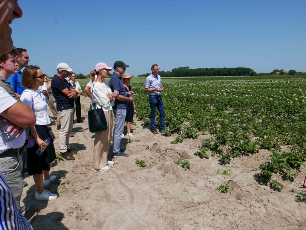Visiting the CropXR Potato Trial Fields