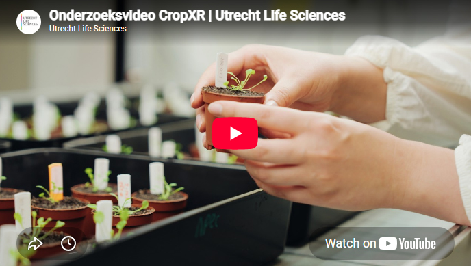 Video: Discover CropXR